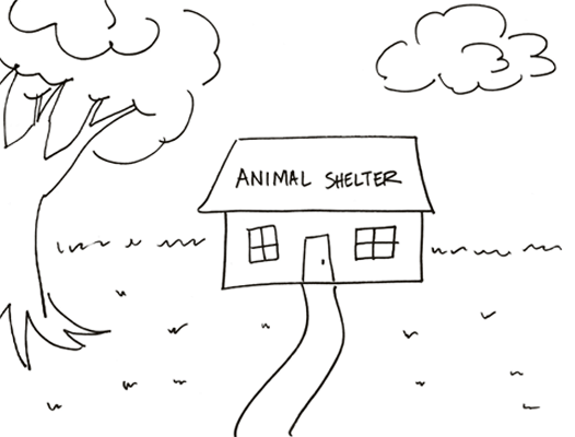 Looking for a dog at a local Animal Shelter