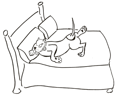 Uranus Hogs the Bed at Night